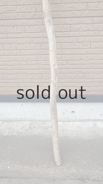 画像2: 棒流木・長尺 (2)