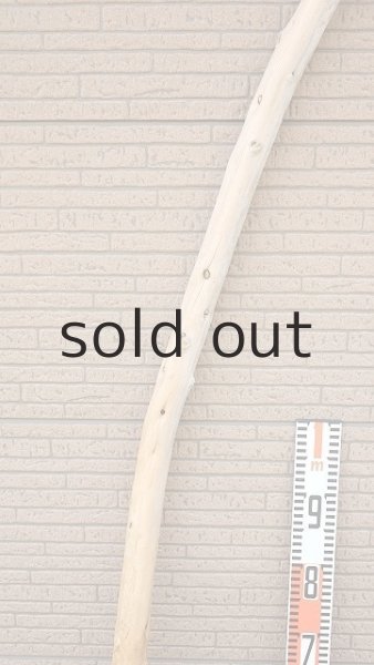 画像7: 棒流木・長尺 (7)