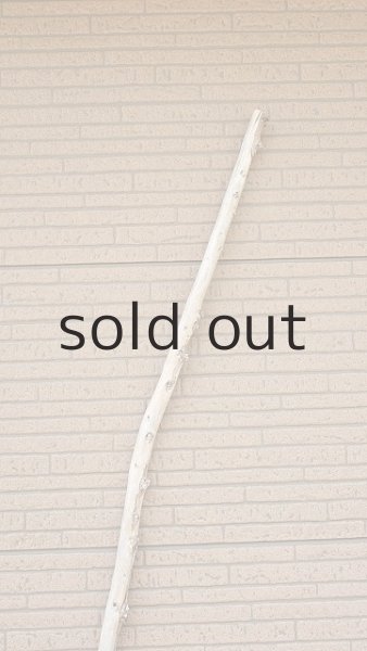 画像4: 棒流木・長尺 (4)