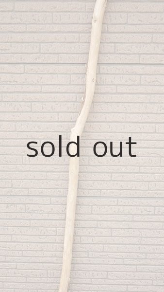 画像3: 棒流木・長尺 (3)