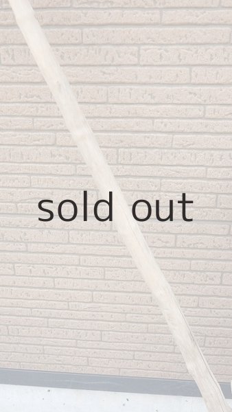 画像4: 幹流木・長尺 (4)