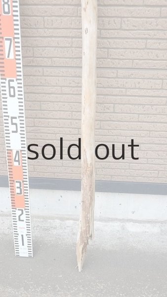 画像5: 棒流木・長尺 (5)