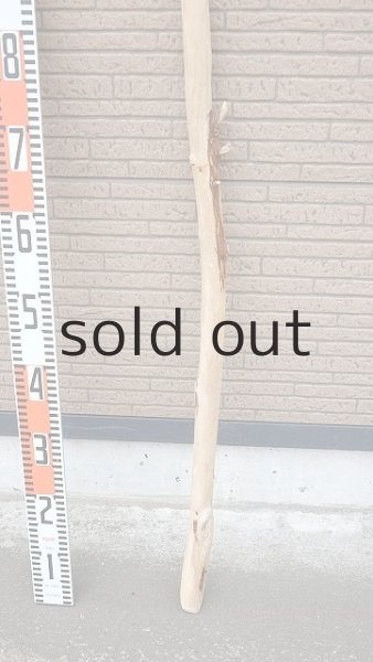 画像5: 棒流木・長尺 (5)