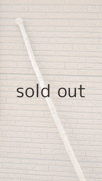 画像5: 幹流木・長尺 (5)