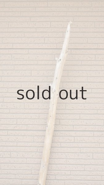 画像4: 棒流木・長尺 (4)