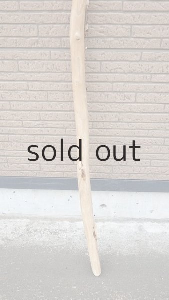 画像2: 棒流木・長尺 (2)