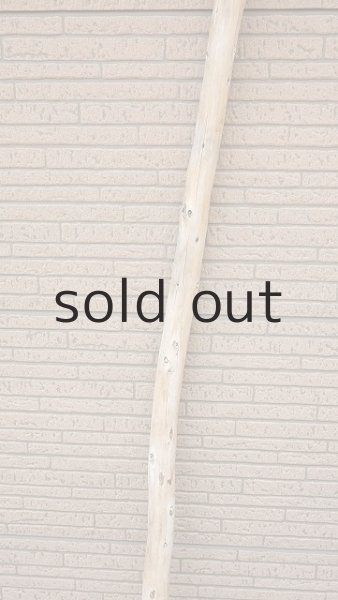 画像3: 棒流木・長尺 (3)