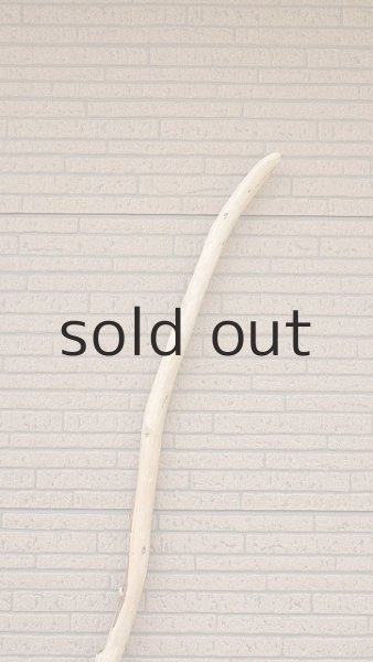 画像4: 棒流木・長尺 (4)