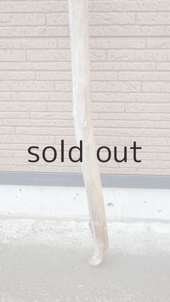 画像2: 棒流木・長尺 (2)