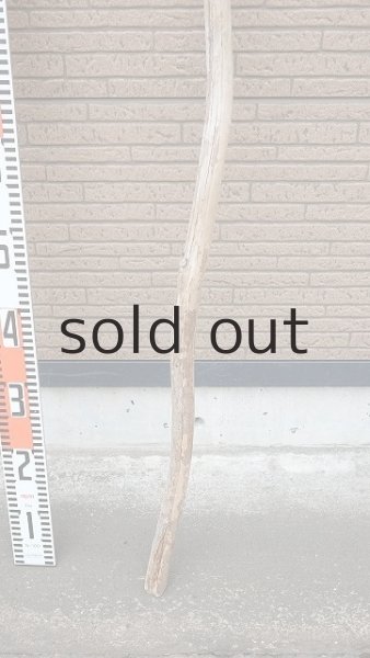 画像5: 棒流木・長尺 (5)