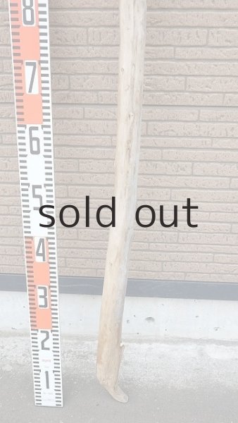 画像5: 棒流木・長尺 (5)