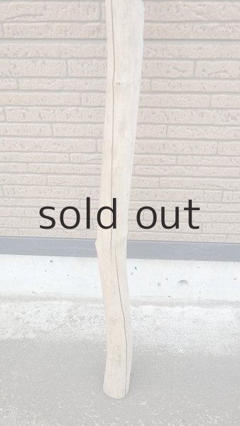 画像2: 幹流木・長尺 (2)