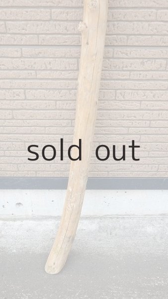 画像2: 棒流木・長尺 (2)