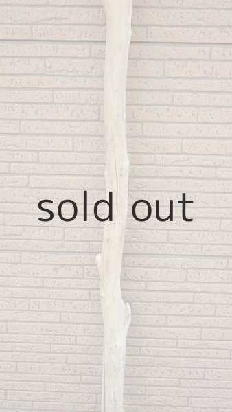 画像3: 幹流木・長尺 (3)