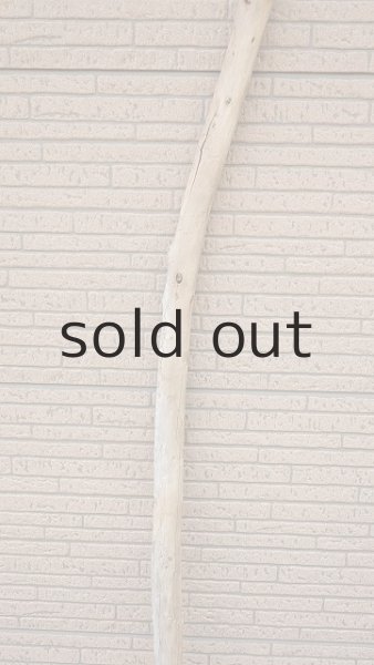 画像3: 棒流木・長尺 (3)