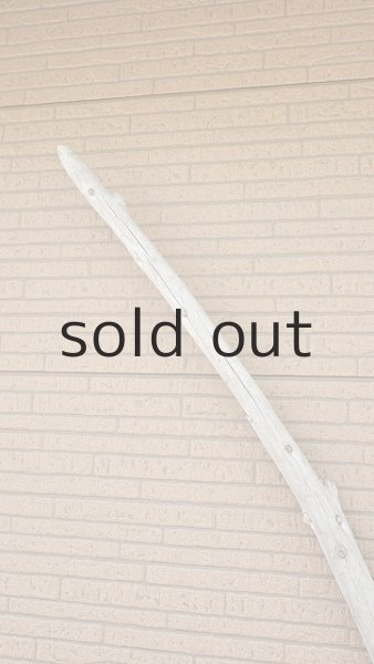 画像5: 棒流木・長尺 (5)