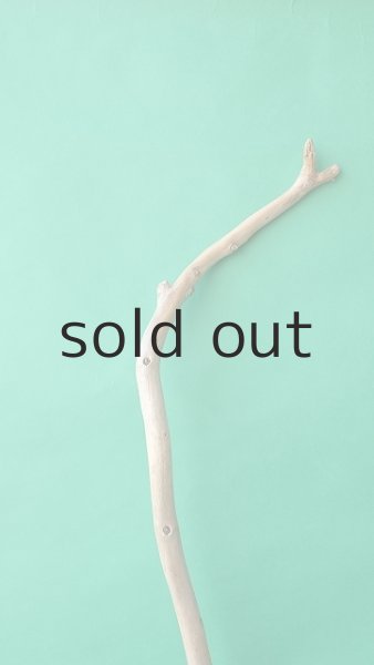 画像4: 棒流木 (4)