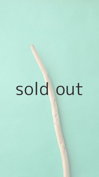 画像4: 棒流木 (4)