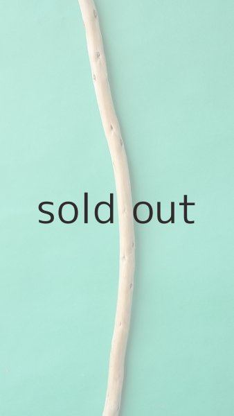 画像3: 棒流木 (3)