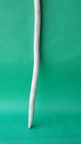 画像2: 棒流木 (2)