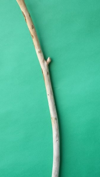 画像3: 棒流木 (3)