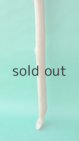 画像2: 棒流木 (2)