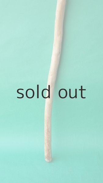 画像2: 棒流木 (2)