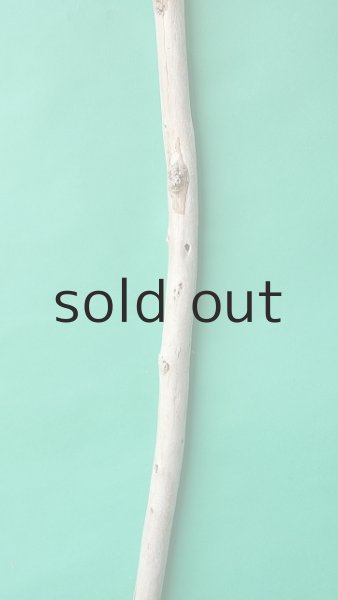 画像3: 棒流木 (3)