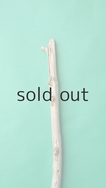 画像4: 棒流木 (4)