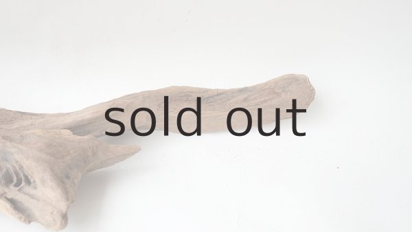 画像7: 変形流木 (7)