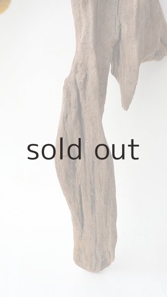 画像2: 変形流木 (2)