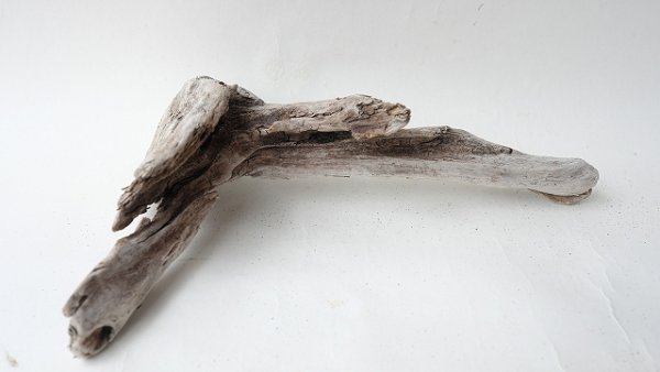 画像7: 変形流木 (7)