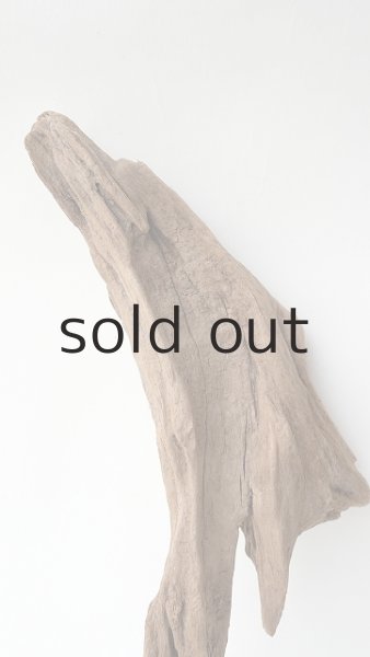 画像3: 変形流木 (3)