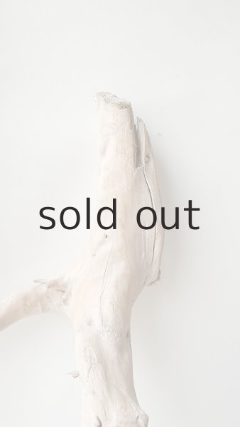 画像5: 流木根 (5)