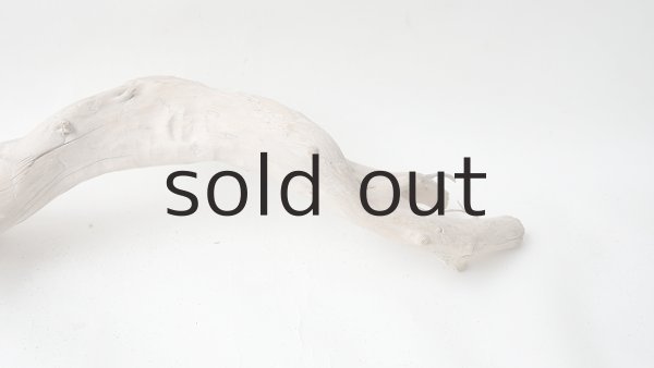 画像8: 流木根 (8)