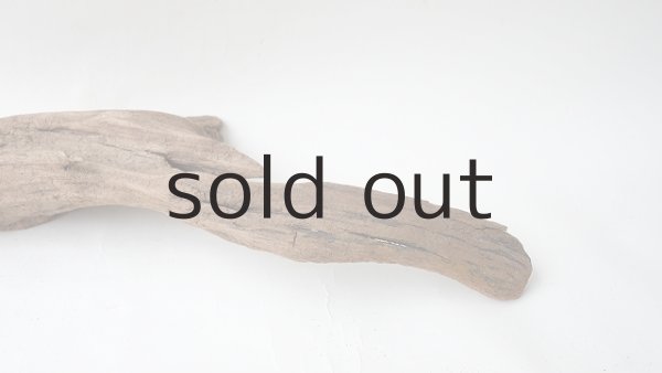 画像5: 変形流木 (5)