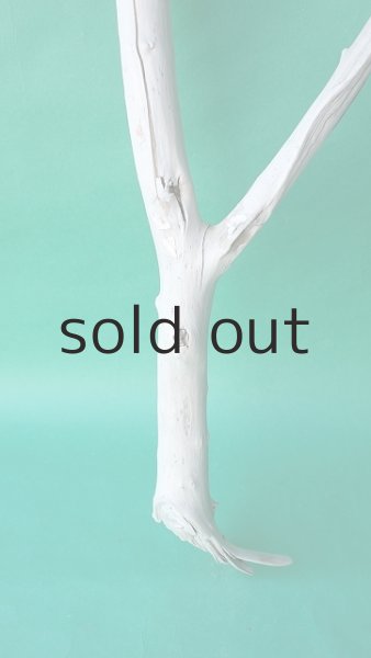 画像2: 枝流木 (2)