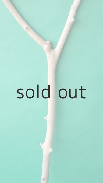 画像3: 枝流木 (3)