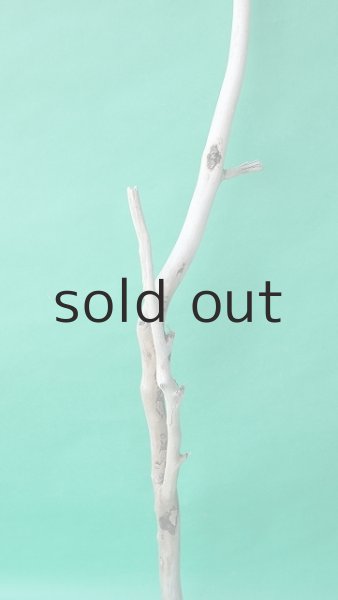 画像3: 枝流木 (3)