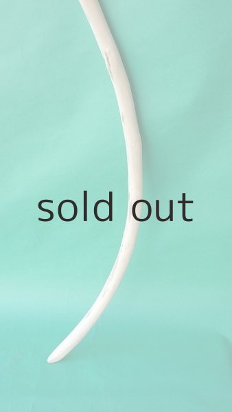 画像2: 枝流木 (2)