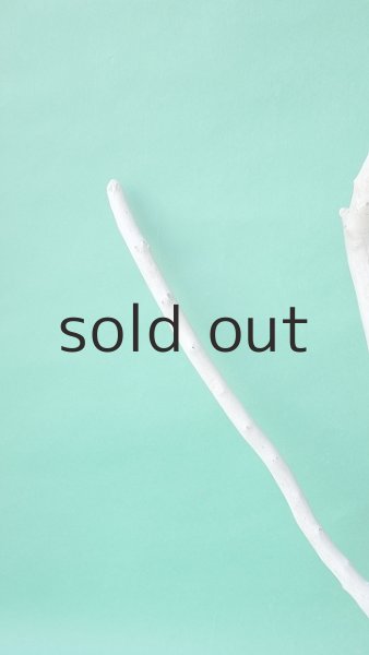 画像3: 枝流木 (3)