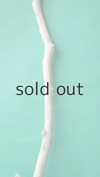 画像3: 枝流木 (3)