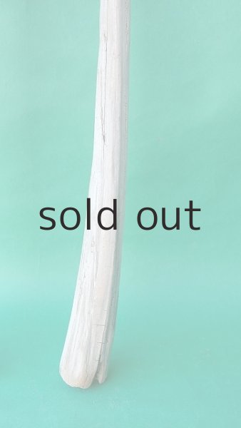 画像5: 枝流木 (5)