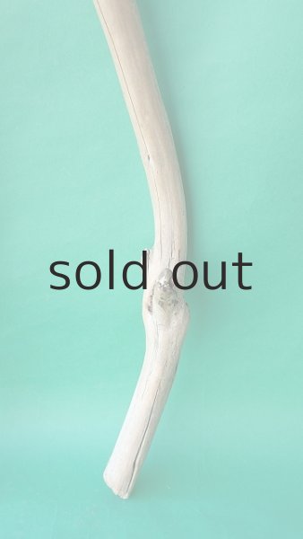 画像5: 枝流木 (5)