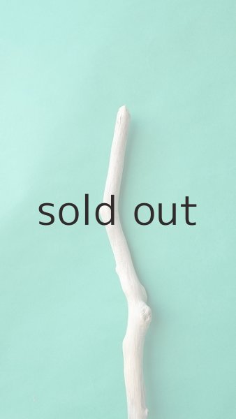 画像4: 枝流木 (4)