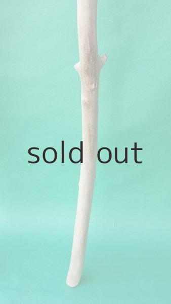 画像5: 枝流木 (5)