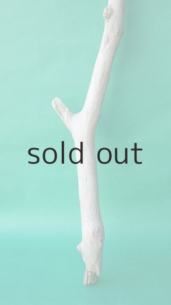 画像2: 枝流木 (2)