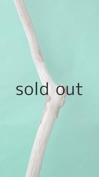 画像3: 枝流木 (3)