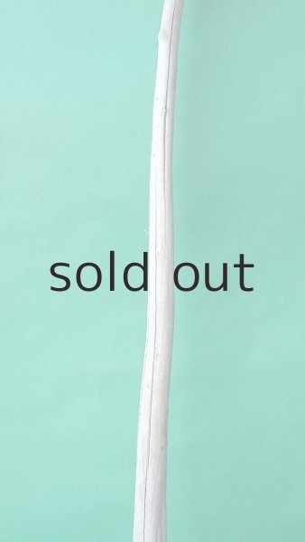 画像3: 枝流木 (3)