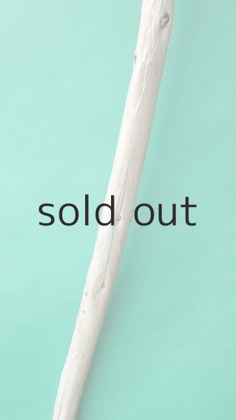 画像3: 枝流木 (3)